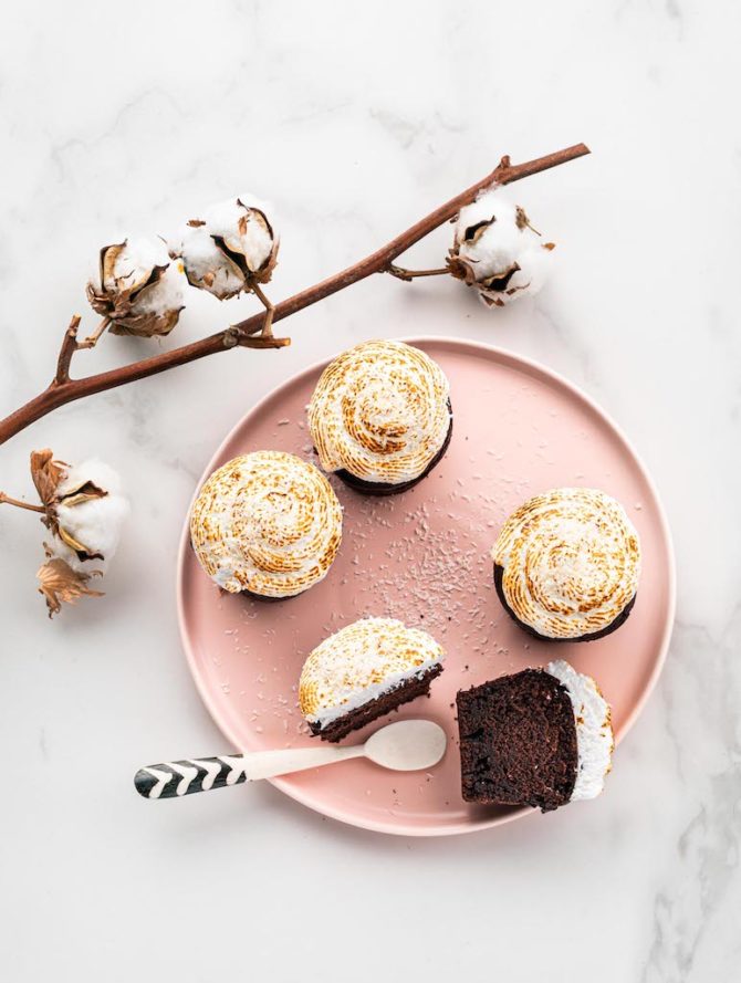 Larousse_Gâteaux Gourmands et Faciles avec Cake Factory_Delphine Constantini_4